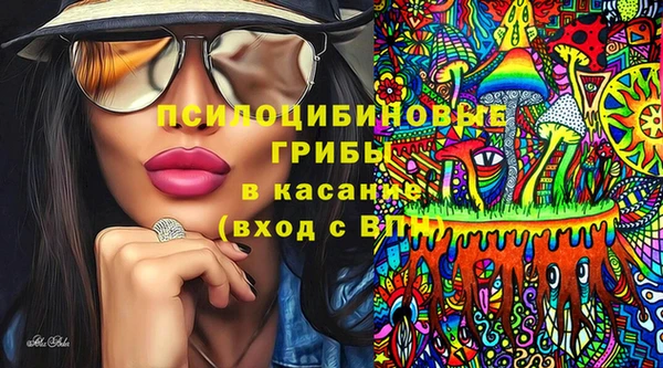 дживик Аркадак