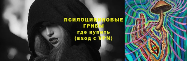 мет Арсеньев
