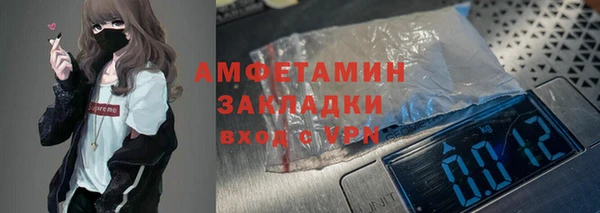 СК Алексин