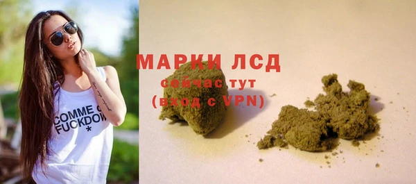 дживик Аркадак