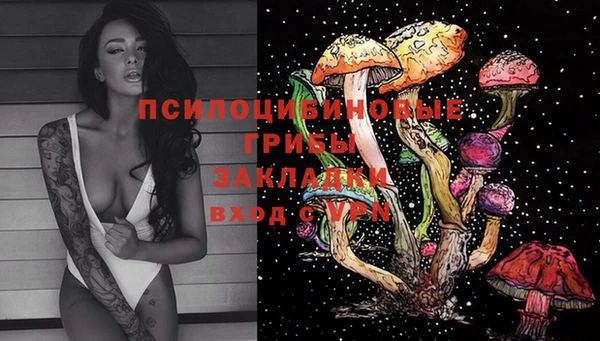 дживик Аркадак